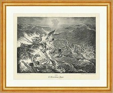 Aegir C. Ehrenberg germanische