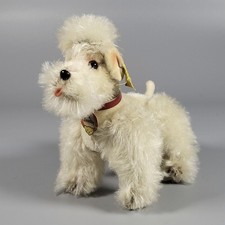 Steiff: 1953-58 * Pudel Snobby * weiß (!) * 1. Nr. 5314 * komplett *