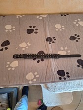 Hundehalsband mit