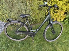 Raleigh Damenrad Urban Devon