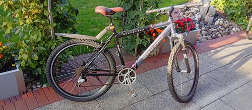 Damen fahrrad zoll - fahrrad,