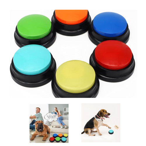 Sprachtraining buzzer mit - buzzer,