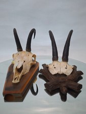 2 x Gamskrucken auf Trophaenbrett Geweih Jagd