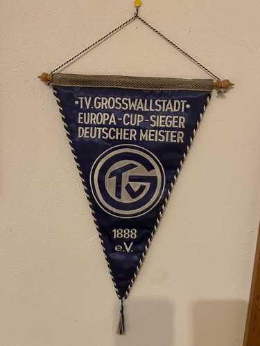 Wimpel vom tvg alle - tvg,