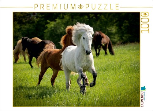 Calvendo puzzle ein motiv - calvendo,