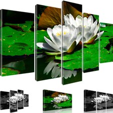 Bilder Seerose Blume Wandbild