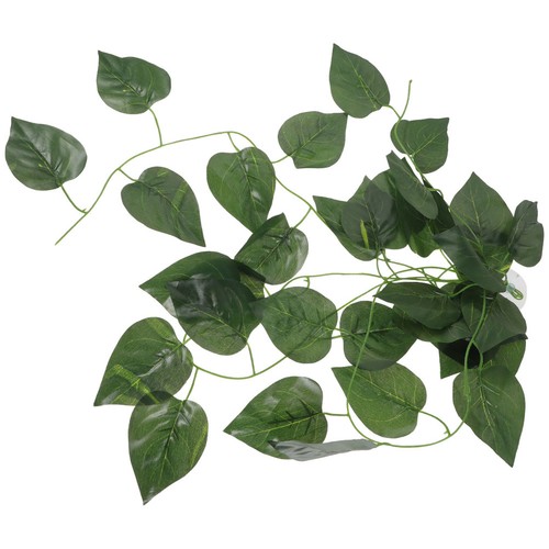 Terrarium pflanzen - terrarium,