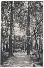 alte Ak Dresden-Loschwitz