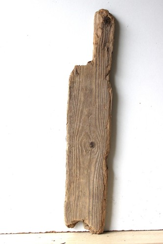 Treibholz schwemmholz - treibholz,