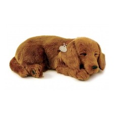 Perfect Petzzz 91977 Dackel