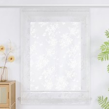 Transparent Raffrollo