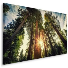 CANVAS Leinwand Bilder XXL