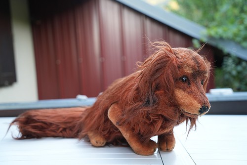 Steiff dackel waldi mit - steiff,