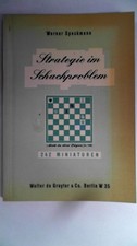 Strategie im Schachproblem