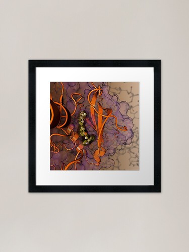 Akt protein kinase gerahmter - protein,