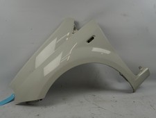 Gebrauchte Linke Vorderflügel