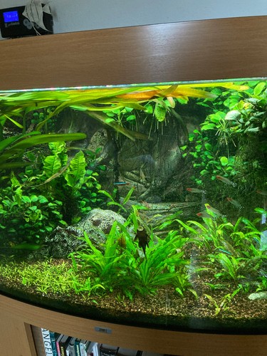 Juwel vision 450 aquarium - 450, aquarium-set