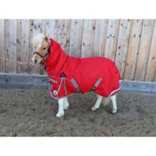 Ruggles Shetland-Miniatur-Esel