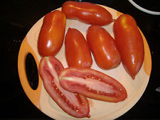  10  Tomatensamen Italienische