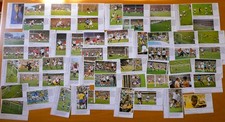 Sprengel ernst huberty - ⚽,