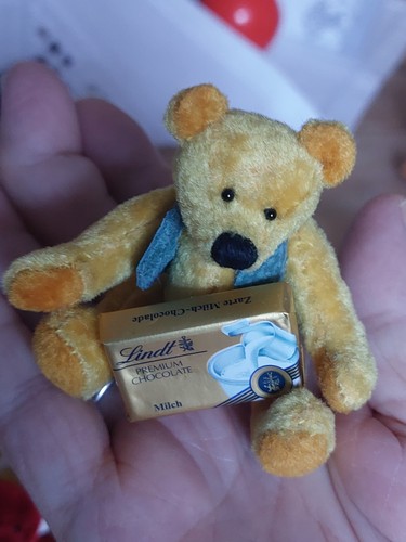 Miniatur teddybär - miniatur,