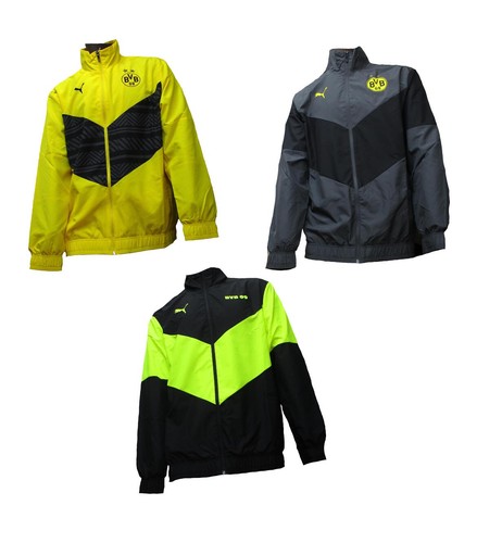 Borussia dortmund - borussia,