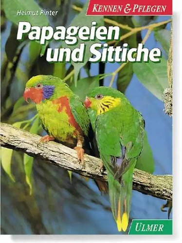Papageien und sittiche - papageien,