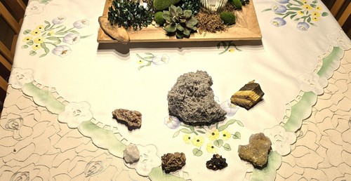 Exquisite sammlung - ,