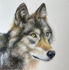 Wolf Original Pastell Malerei, Wildtier Gemälde, Pastell auf Papier 20x20 cm