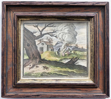 Fabeln de la Fontaine Käfer Kupferstich Henrik Cause koloriert Rahmen 1728