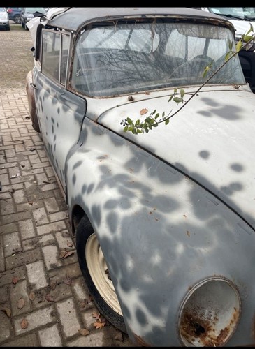 Dkw auto union - oldtimer, au1000