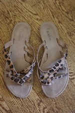 Süße flache Leos für