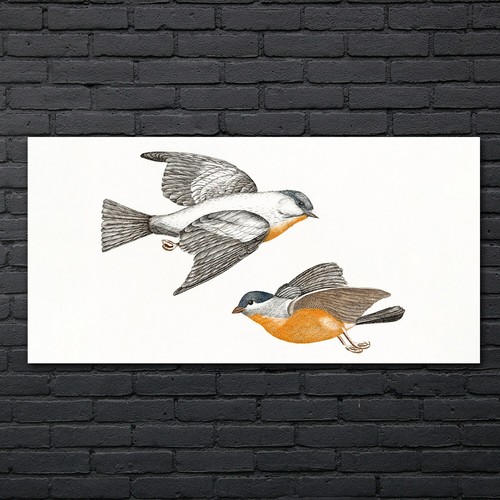 Zeichnung tier vogel - zeichnung,