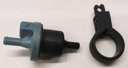 Lupo 4 aud - 6x,