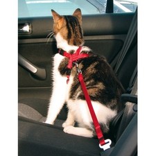 Trixie Cat Auto Gurt und