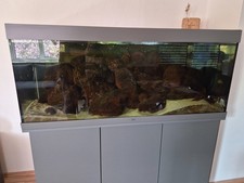 Aquarium komplett mit - aquarium,
