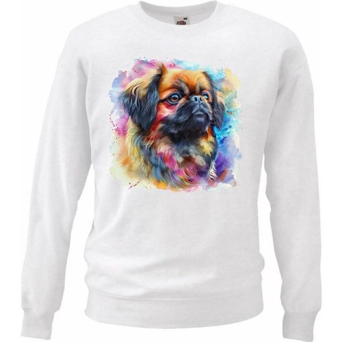 Sweatshirt sweater pekinese - sweater,