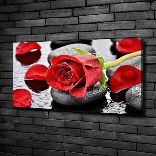 Leinwandbild kunst druck - leinwandbild, kunst-druck