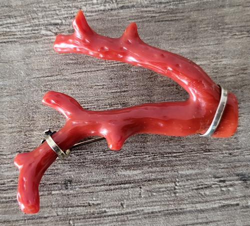 Korallen brosche sardinienrot - korallen,