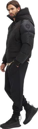 Canada goose paradigm - canada,