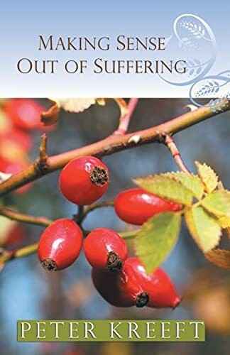 Making sense out - of, suffering