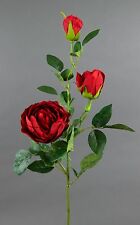 Rosenzweig 80cm rot FT