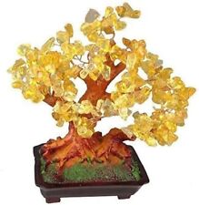 Feng Shui Glücksbaum 25 cm