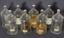 Alte Apothekergläser 5 Stück