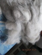 Husky-Wolle, Rohwolle zum Spinnen, Filzen,selten