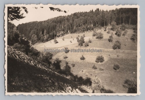 Gutach schwarzwaldbahn 1957 - schwarzwaldbahn,