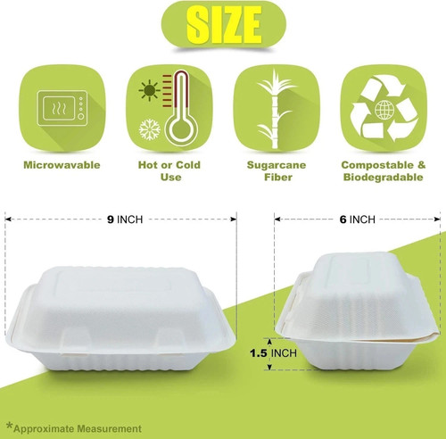 250 stück bagasse behälter - 250,