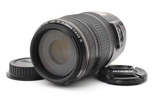 Canon 300mm 5 - canon, 75-300mm