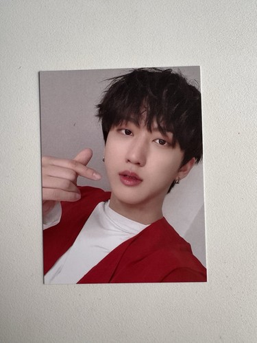 Kpop stray kids skz - stray,