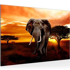 Wandbilder Wohnzimmer Afrika